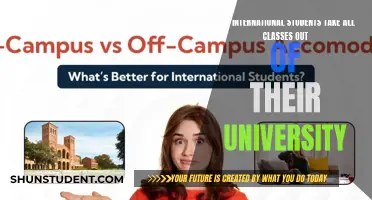 International Students: Can They Take External Courses?