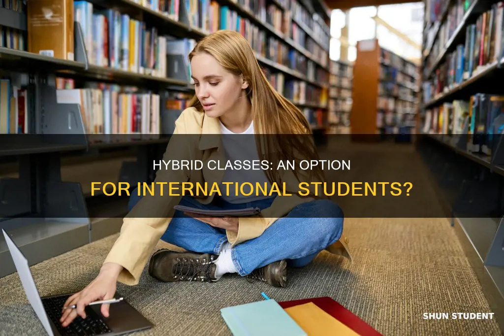 can international students take hybrid classes