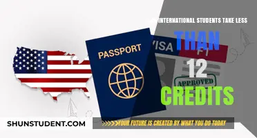 Credit Conundrum: International Students' Course Load
