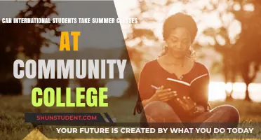 International Students: Summer Classes at Community College?