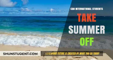 Summer Vacation: International Students' Options