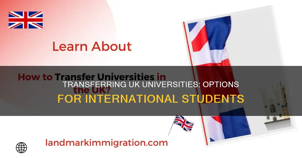 can international students transfer universities in uk