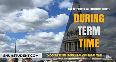 International Students: Can They Travel During Term?