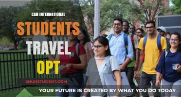 International Students: Travel with OPT