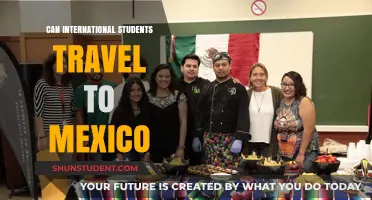 International Students: Exploring Mexico Travel Options