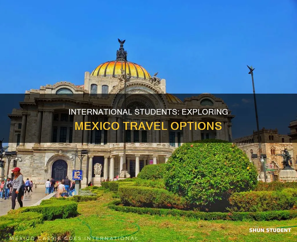 can international students travel to mexico