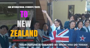 International Students: Exploring New Zealand Visa Options