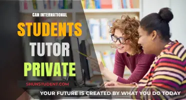 International Students: Private Tutoring Options