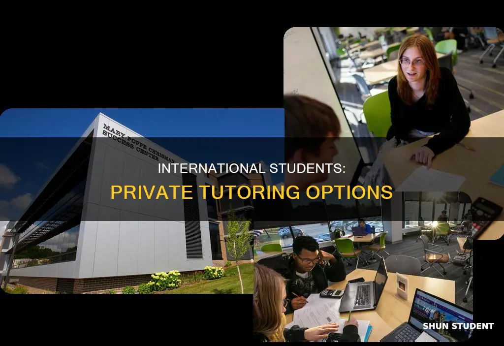 can international students tutor private