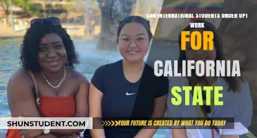 OPT Work: California State Opportunities for International Students