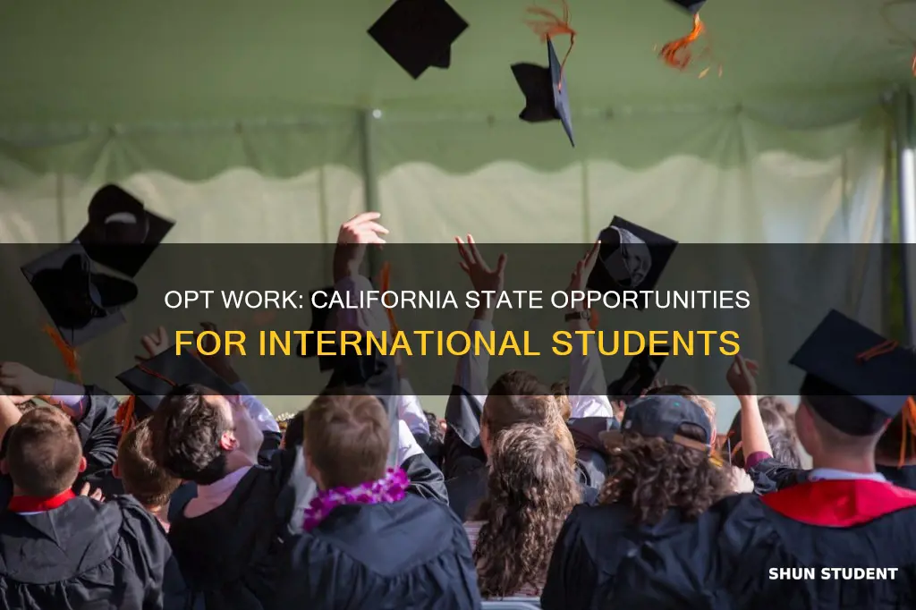 can international students under opt work for california state