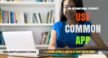 International Students: Common App Usage Explained