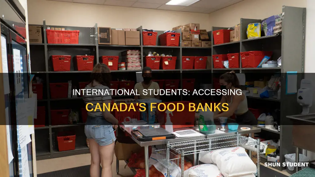 can international students use food bank in canada