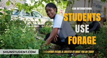 Forage: An Equal Opportunity for International Students