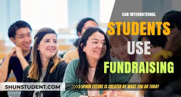 Fundraising for International Students: Is It Possible?