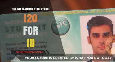 I-20 as ID: What International Students Need to Know