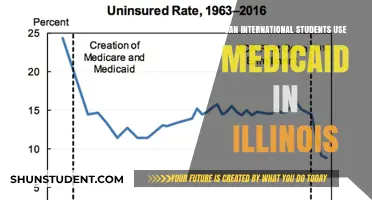 International Students: Medicaid Access in Illinois