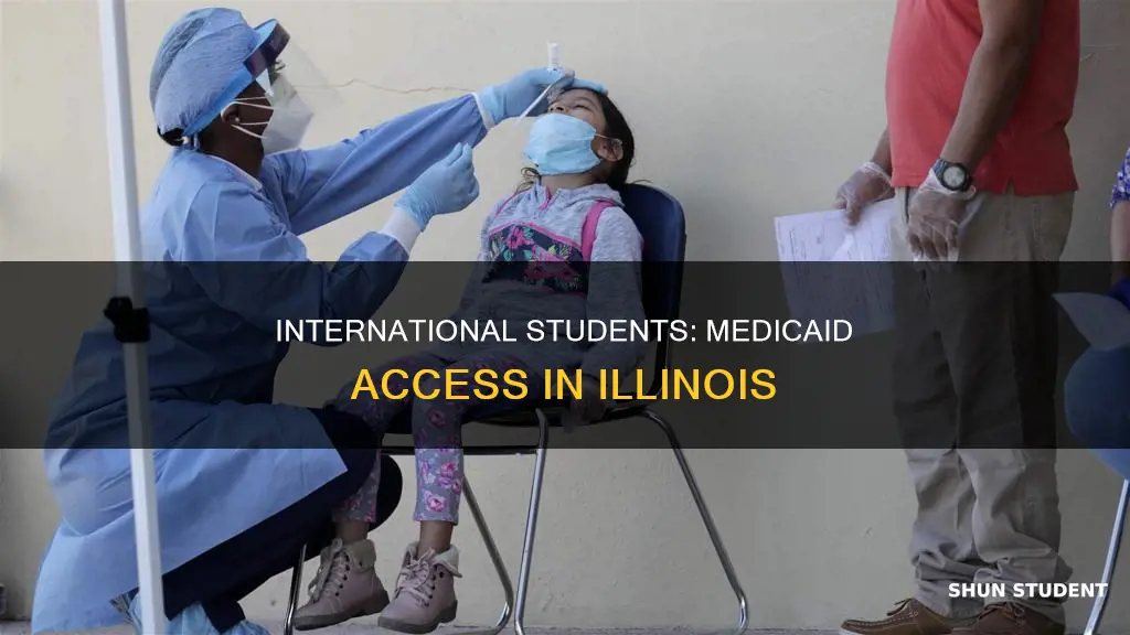 can international students use medicaid in illinois