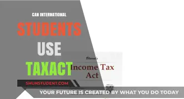 TaxAct: A Viable Option for International Students?