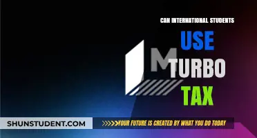 Turbo Tax for International Students: Is It Possible?