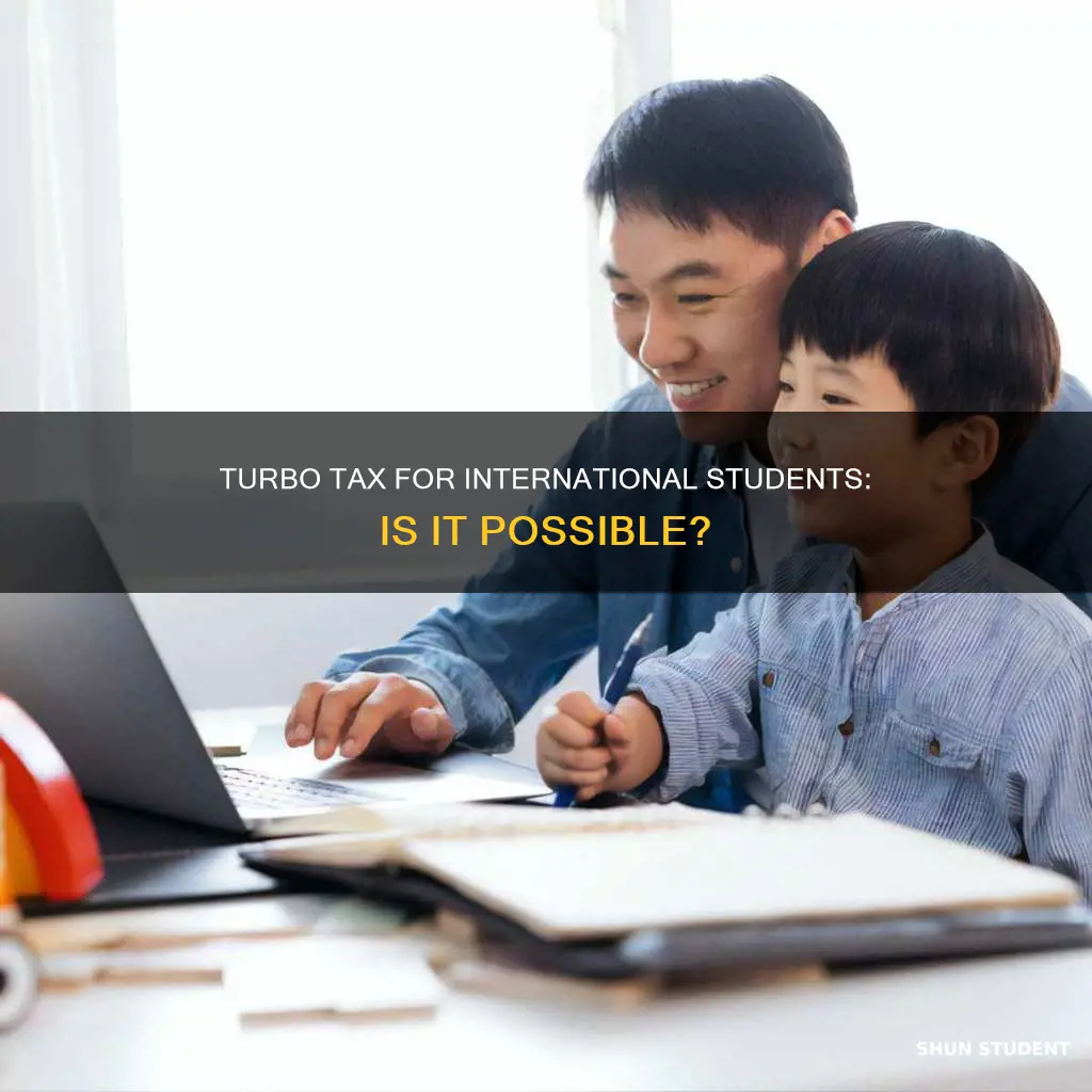 can international students use turbo tax