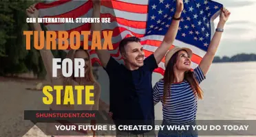 International Students: Using TurboTax for State Returns