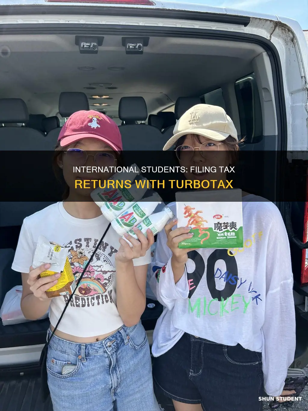 can international students use turbotax to file tax return