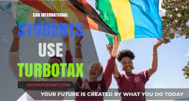 International Students: Can They Use TurboTax?