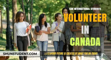 Volunteering in Canada: Opportunities for International Students