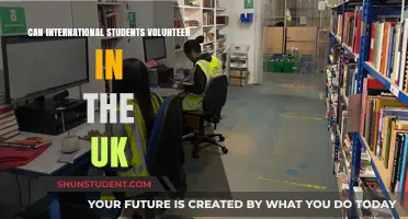 Volunteering in the UK: Options for International Students