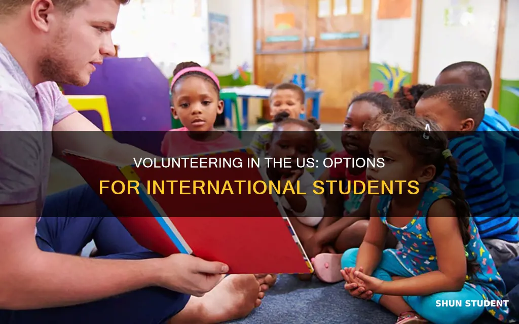 can international students volunteer in the us