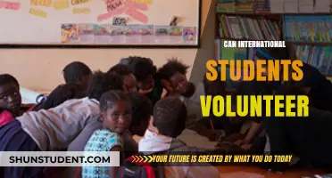 Volunteering Options for International Students