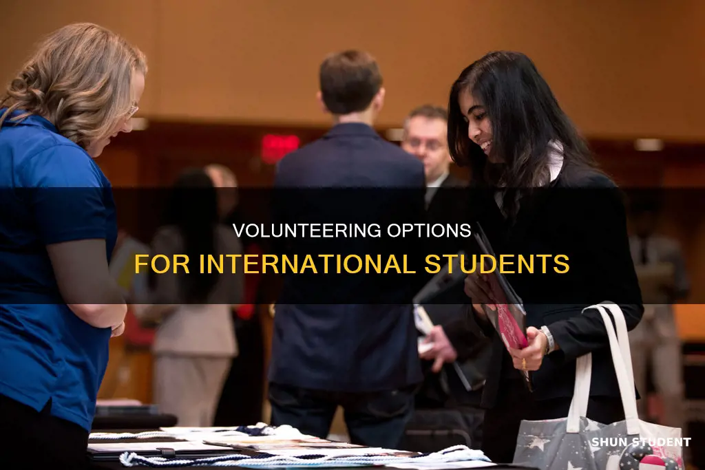 can international students volunteer