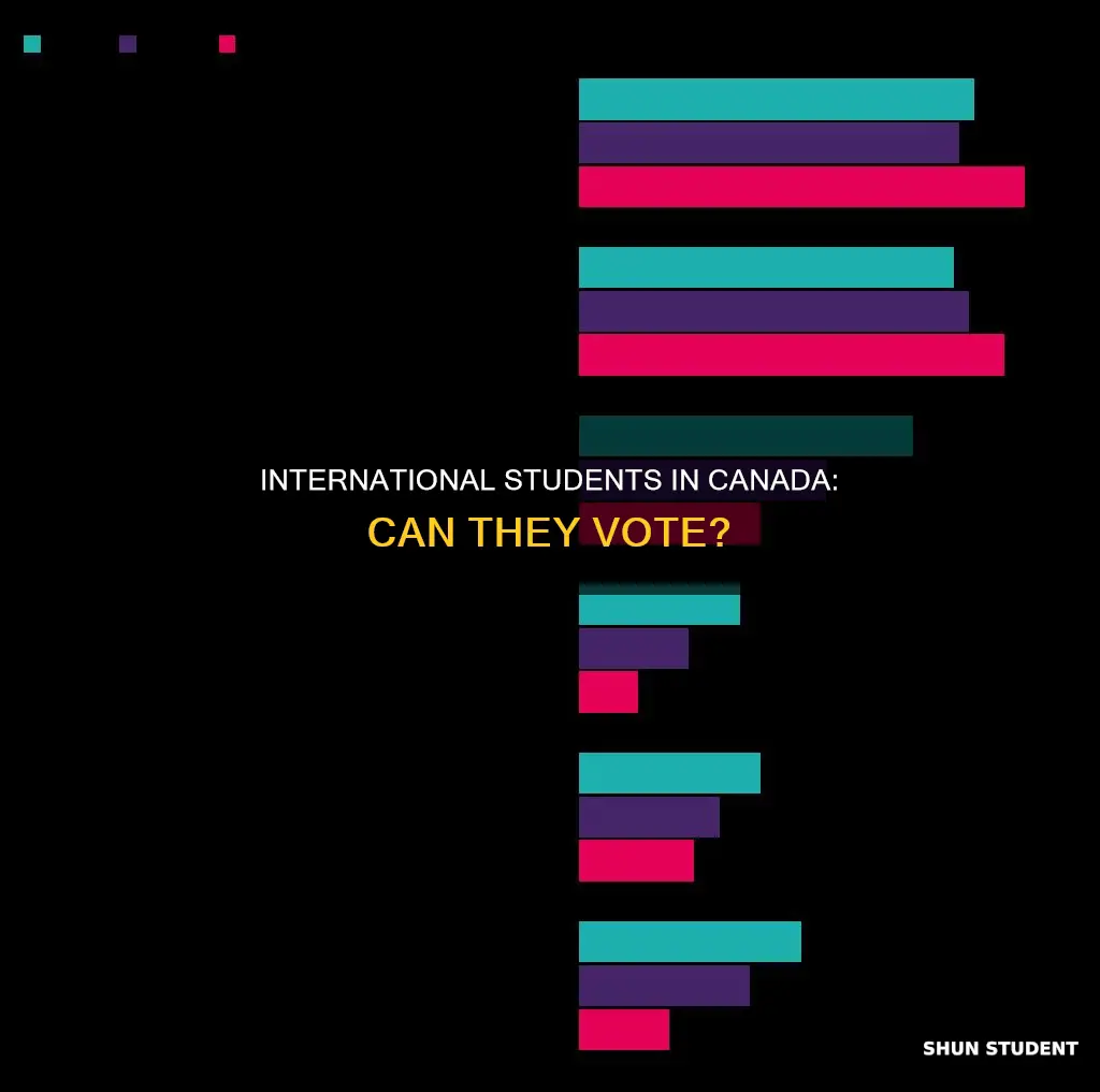 can international students vote in canada