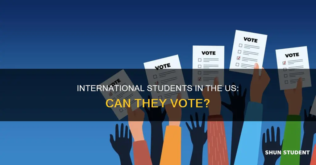 can international students vote in the us