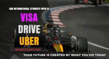 F1 Visa Students: Can They Drive for Uber?