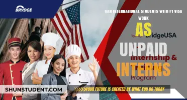 F1 Visa: Unpaid Internships for International Students