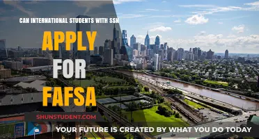 SSNs and FAFSA: What International Students Need to Know