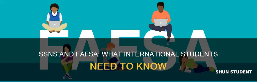 can international students with ssn apply for fafsa