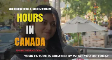 Working 24 Hours in Canada: International Student Rights Explained