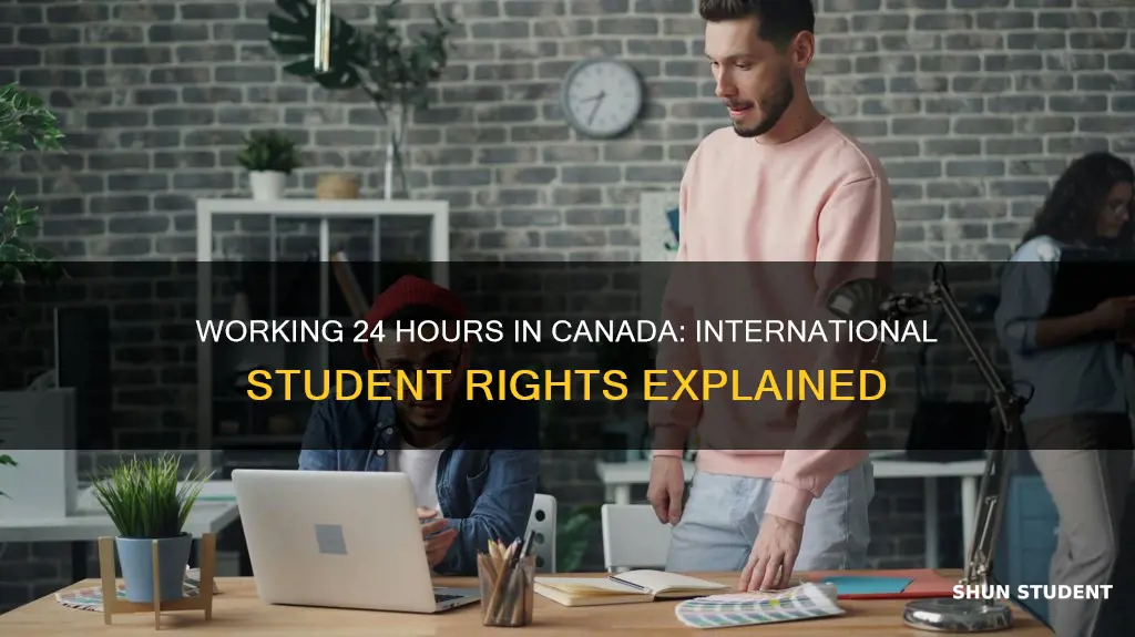 can international students work 24 hours in canada