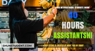International Students: Work, Study, and Assistantship Balance