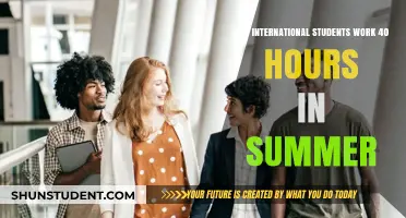 International Students: Summer Work Limit Rules