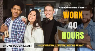 Working Full-Time as an International Student: Is It Possible?