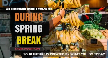 Working International Students: Spring Break Work Hours Explained