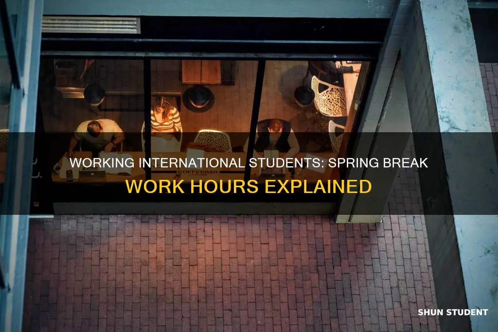can international students work 40 hrs during spring break