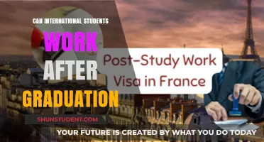 Working After Graduation: Options for International Students