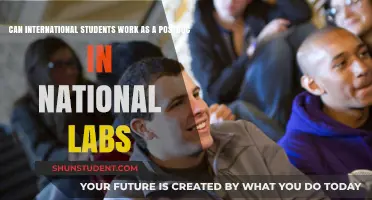 International Postdocs: Working in National Labs