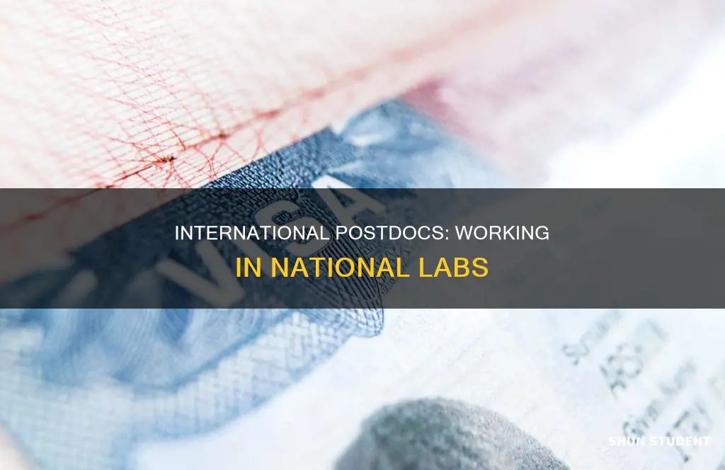 can international students work as a postdoc in national labs