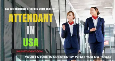 Working as a Flight Attendant in the USA: International Students' Queries